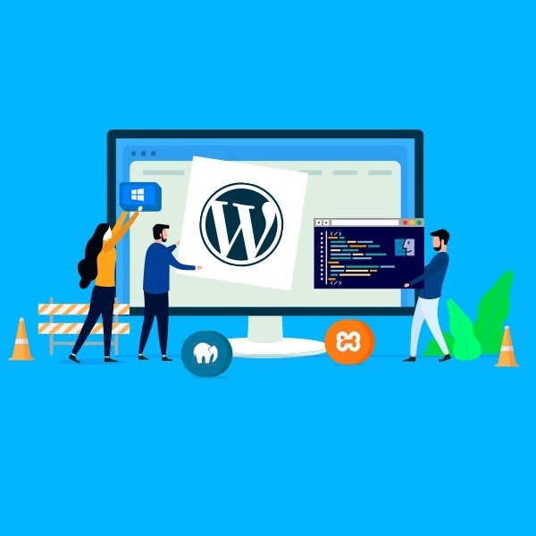 wordpress development