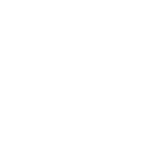 Functionality Issues